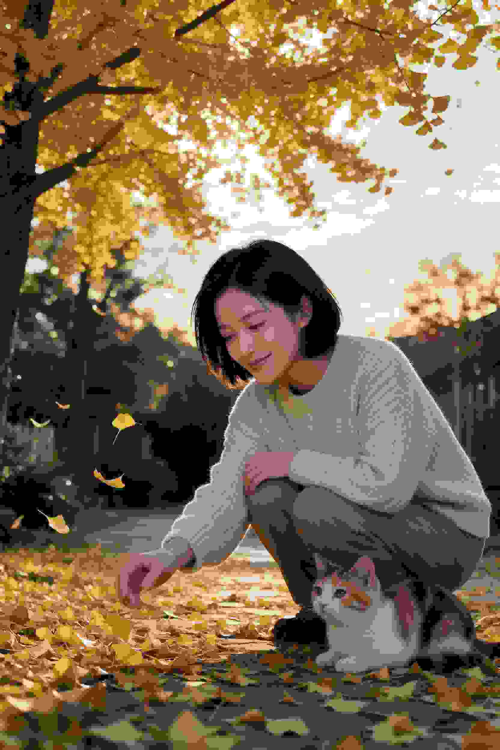 剑来